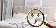 Traitement thermique punaise de lit Fréjus 83600 – Méthode écologique dans le Var