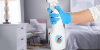 Traitement thermique punaise de lit Sarcelles 95200 – Méthode écologique dans le Val-d’Oise