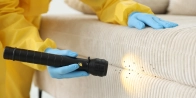Traitement thermique punaise de lit Hyères 83400 – Méthode écologique dans le Var