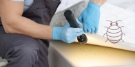 Traitement thermique punaise de lit Le Mans 72000 – Méthode écologique dans le Sarthe